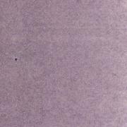 LMP49438-U Thumbnail