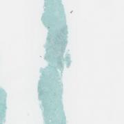 LMP52947-U Thumbnail