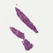 LMP37486-U Thumbnail